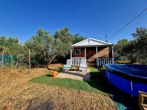 Un Chalet Dans Les Oliviers 3 Nuits Mini Nîmes Exteriör bild
