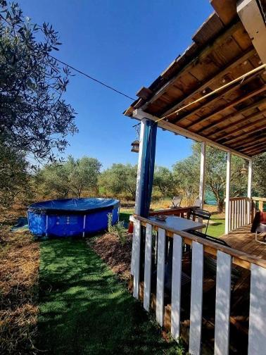 Un Chalet Dans Les Oliviers 3 Nuits Mini Nîmes Exteriör bild